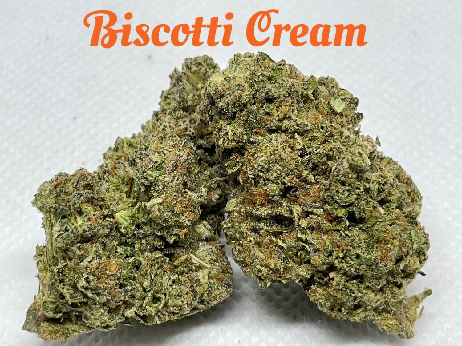 Biscotti Cream (Premium) - Indica