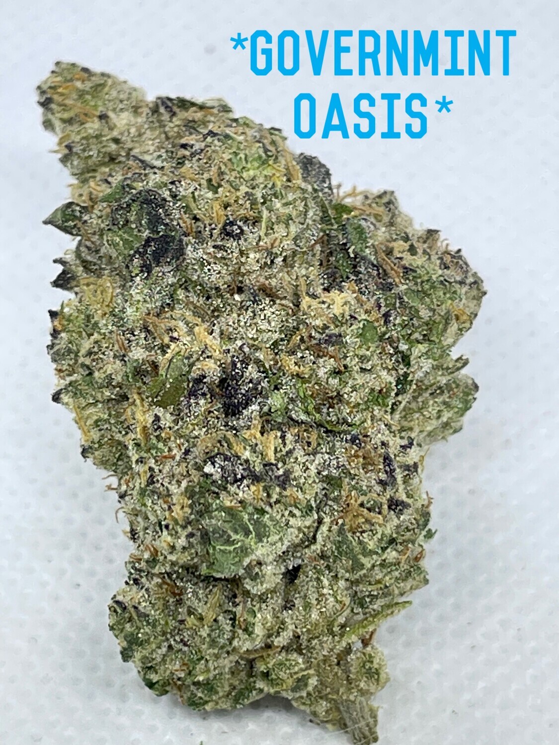 Governmint Oasis (Exotic) - Indica