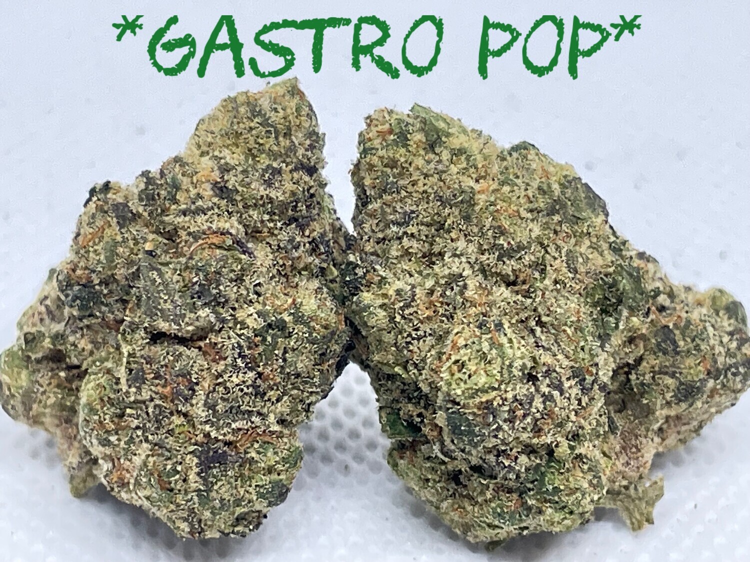 Gastro Pop (Premium) - Indica