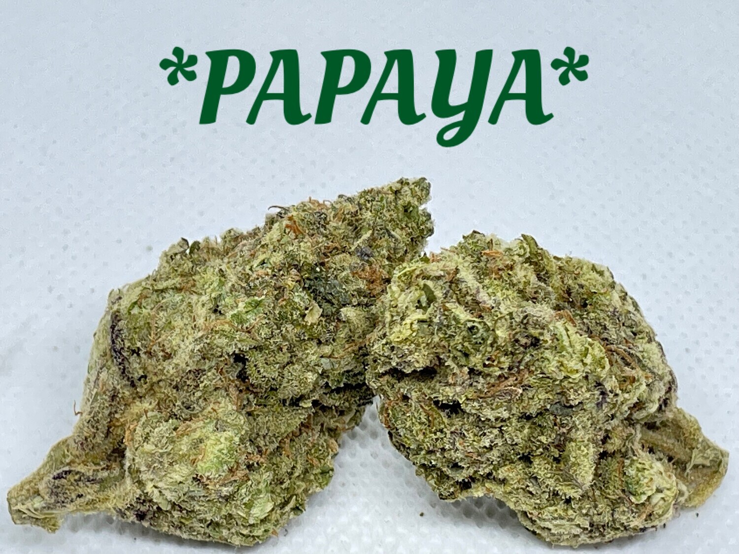Papaya (Exotics) - Indica