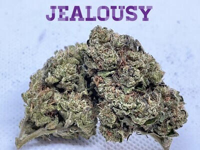 Jealousy (Premium) - Hybrid