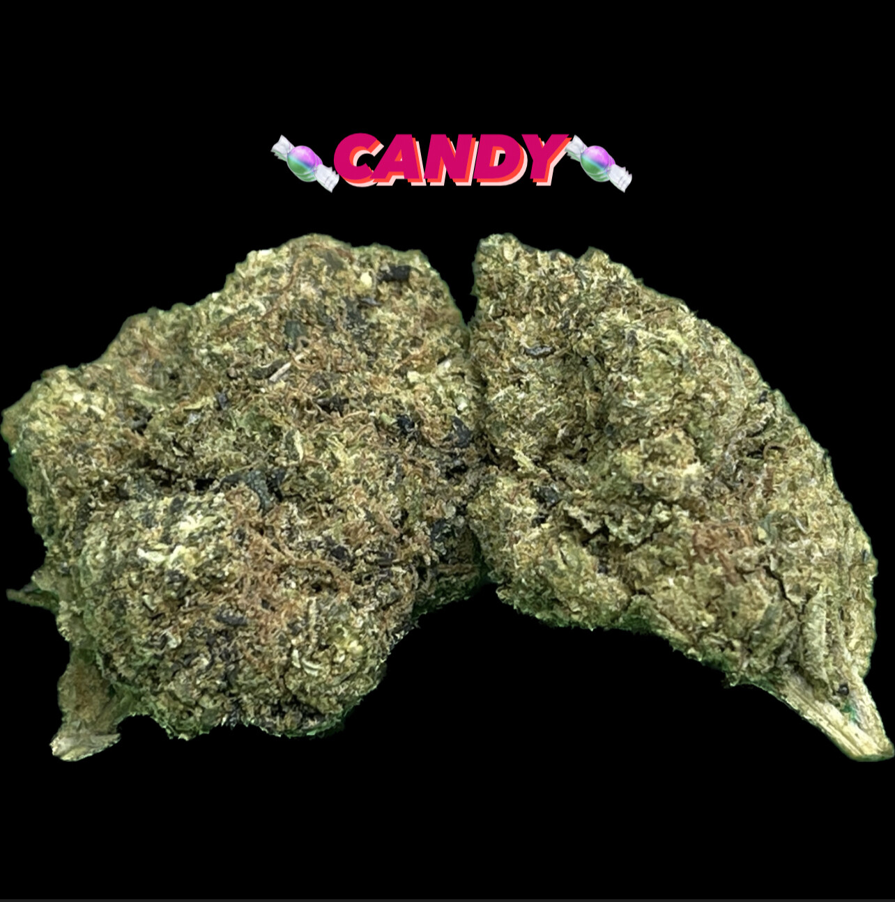 Candy (Premium) - Hybrid
