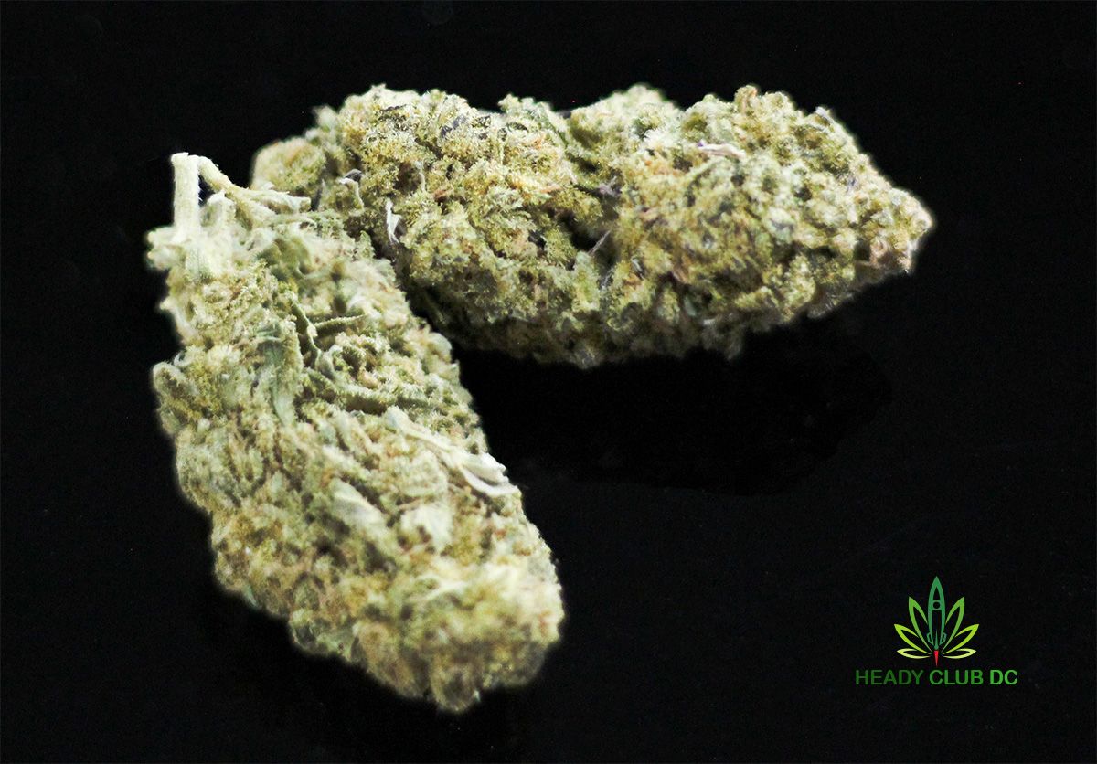 $90oz Deals - MAC 1