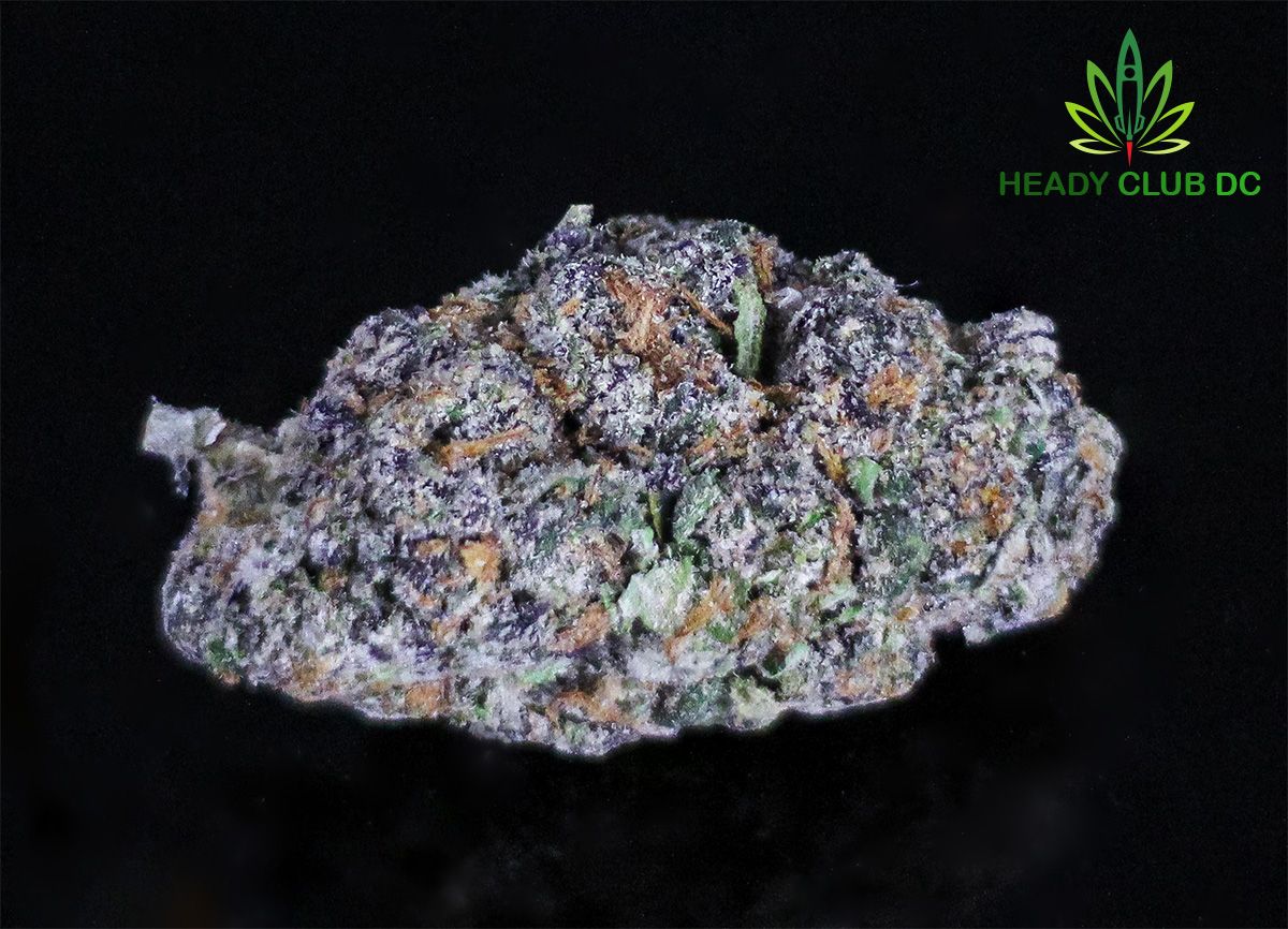 Permanent Marker Strain - Heady Club DC Weed Delivery and Marijuana Dispensary