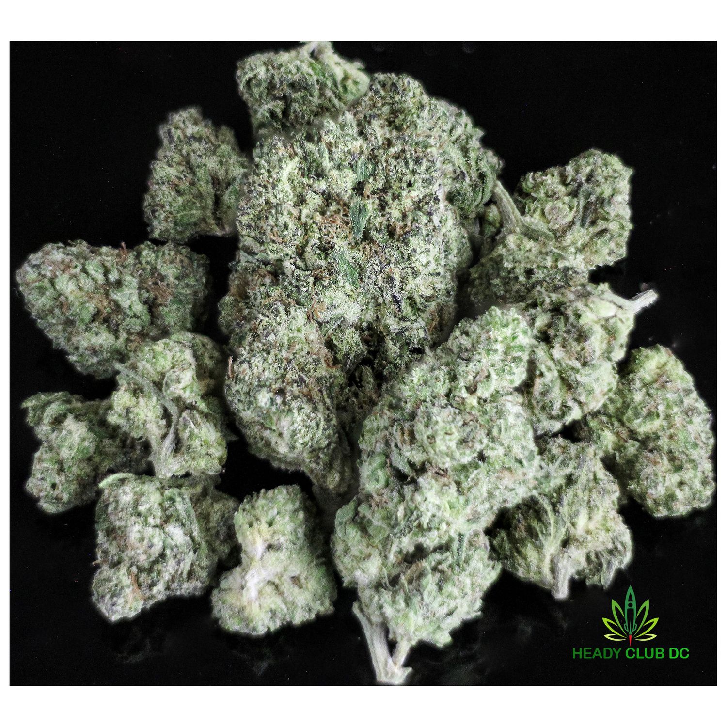 Northern Lights Strain