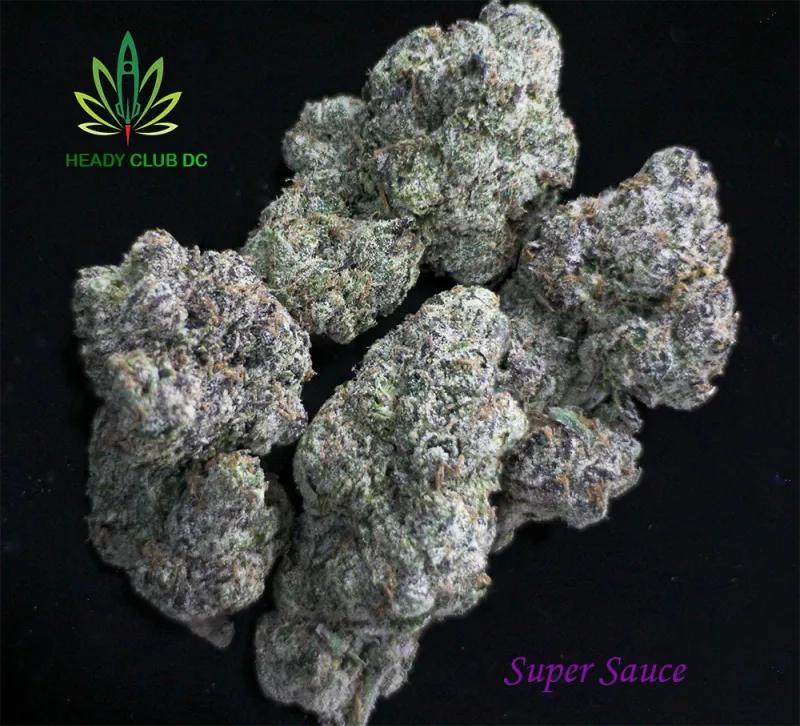 Super Sauce (Exotic) - Hybrid 30%THCa Super Sauce (Exotic) - Hybrid 30%THCa
