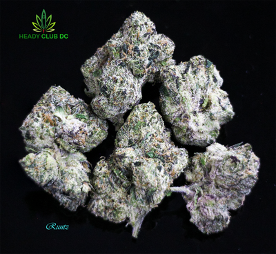 Runtz (Premium) - Hybrid 19-29% THCa Runtz (Premium) - Hybrid 19-29% THCa
