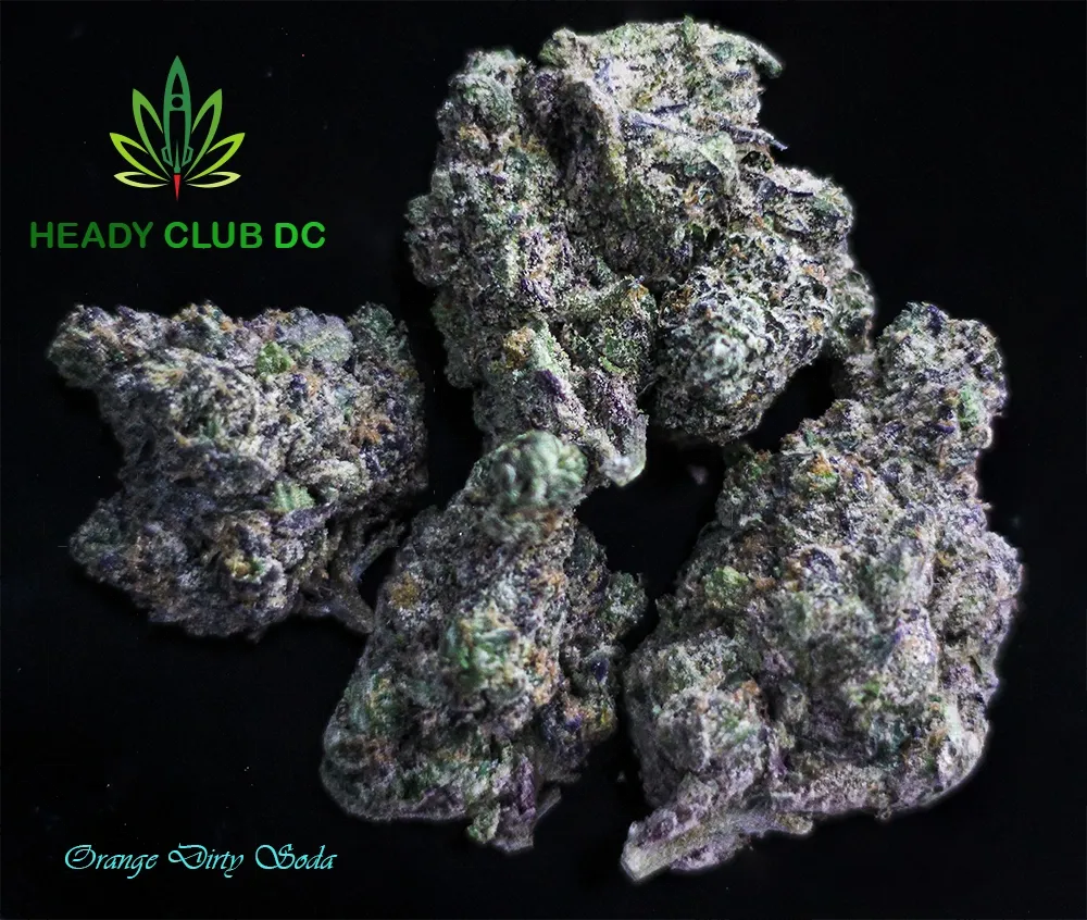 Orange Dirty Soda (Exotic) - Sativa 24% THCa