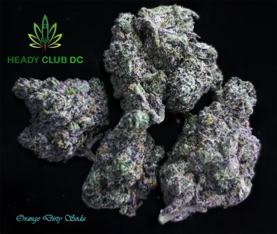 Orange Dirty Soda (Exotic) - Sativa 24% THCa