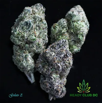 Gelato Z (Exotic) - Hybrid 25-27% THCa Gelato Z (Exotic) - Hybrid 25-27% THCa