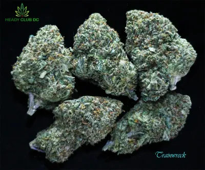 Trainwreck (Exotic) - Sativa 25-27% THC