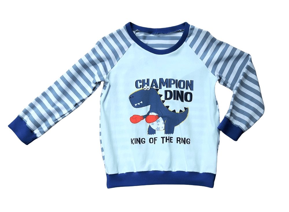 Jungen Pullover DINOCHAMPION in Gr. 104