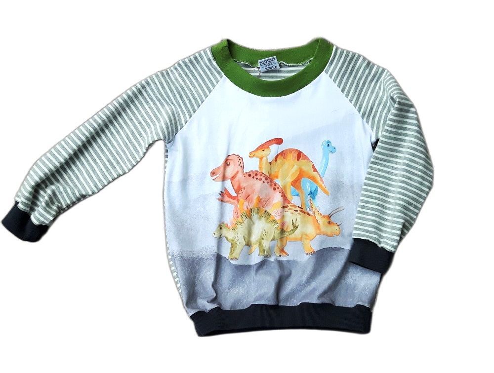 Jungen Pullover DINOSAURIER in Gr. 110