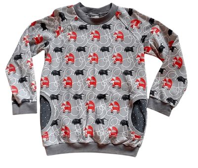 Jungen Pullover FUCHS & DACHS in Gr. 128