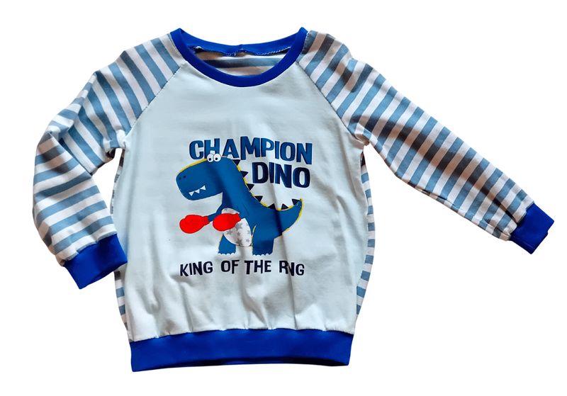 Jungen Pullover DINOCHAMPION in Gr. 104
