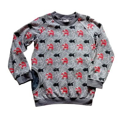 Jungen Pullover FUCHS & DACHS in Gr. 128
