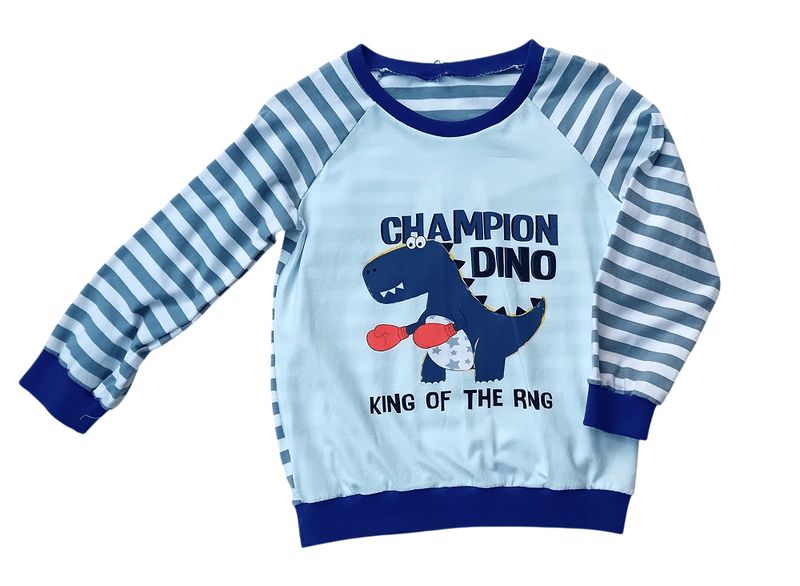Jungen Pullover DINOCHAMPION in Gr. 104