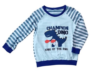 Jungen Pullover DINOCHAMPION in Gr. 104