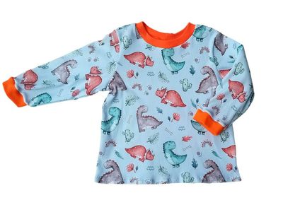 Jungen Pullover DINOLEBEN in Gr. 86