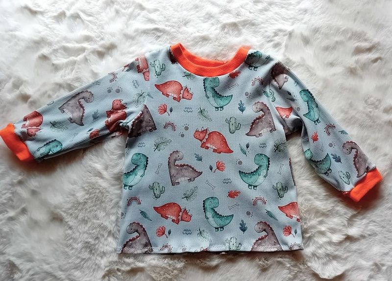 Jungen Pullover DINOLEBEN in Gr. 86