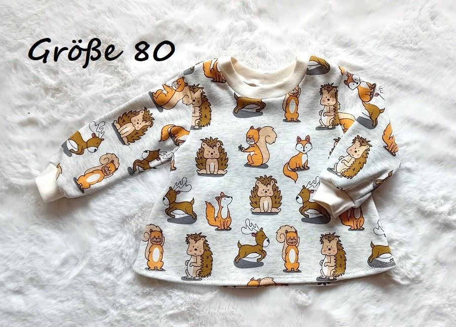 Kinderpullover langarm LUSTIGE TIERE in Gr. 80, 104 und 110
