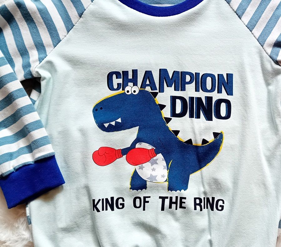 Jungen Pullover DINOCHAMPION in Gr. 104