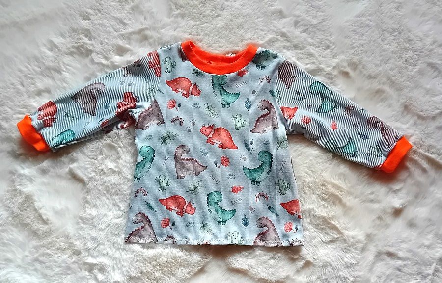 Jungen Pullover DINOLEBEN in Gr. 86