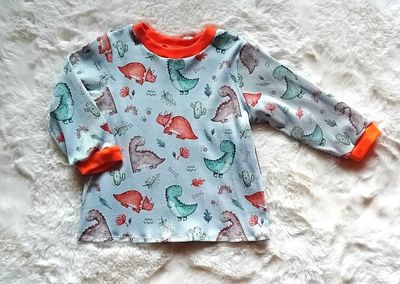 Jungen Pullover DINOLEBEN in Gr. 86 Jungen Pullover DINOLEBEN in Gr. 86