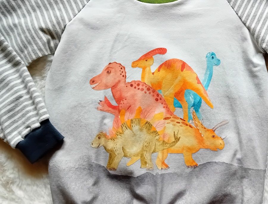 Jungen Pullover DINOSAURIER in Gr. 110