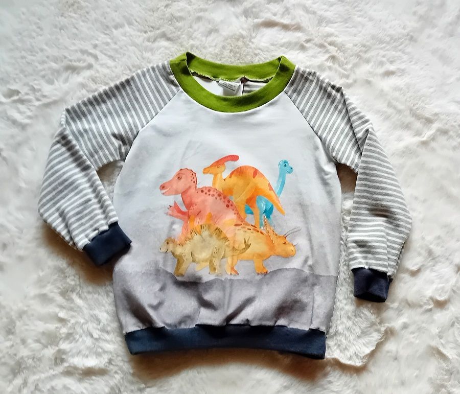 Jungen Pullover DINOSAURIER in Gr. 110