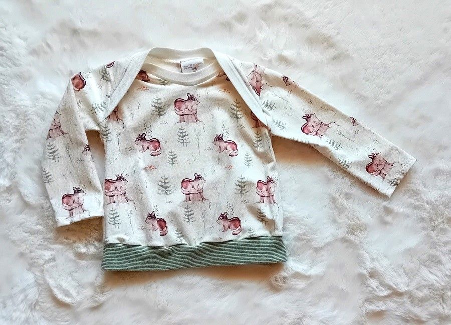 Baby Pullover GARTENGESELLEN in Gr. 68 Baby Pullover GARTENGESELLEN in Gr. 68