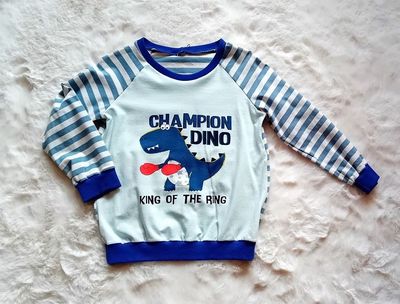 Jungen Pullover DINOCHAMPION in Gr. 104