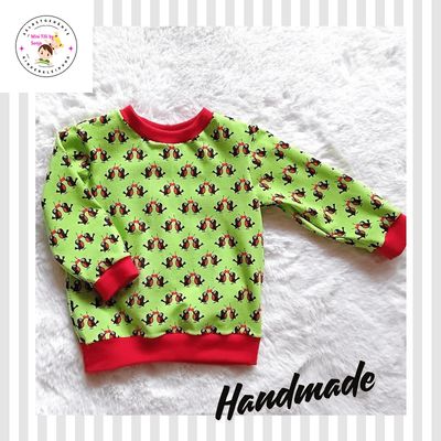 Baby Pullover MAULWURF-PIEPMATZ in Gr. 74