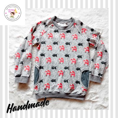 Jungen Pullover FUCHS & DACHS in Gr. 128