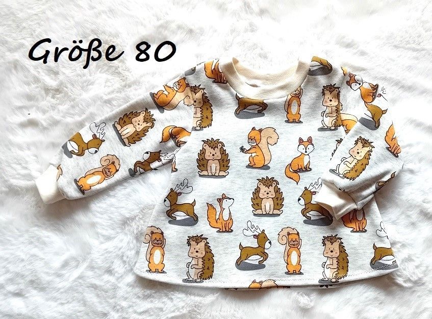 Kinderpullover langarm LUSTIGE TIERE in Gr. 80, 104 und 110