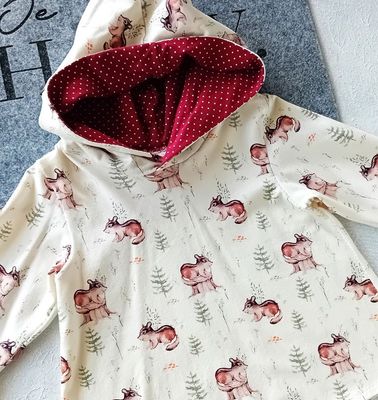 Kapuzenpullover Kinder Hoodie EICHHORN in Gr. 80