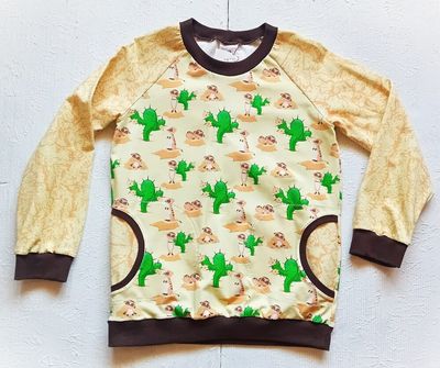 Jungen Pullover ERDMAENNCHEN in Gr. 122