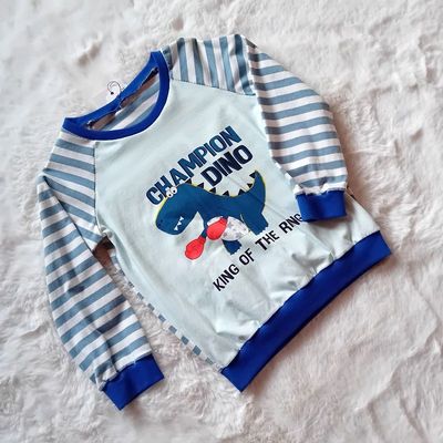 Jungen Pullover DINOCHAMPION in Gr. 104