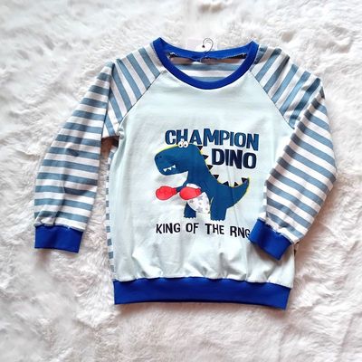 Jungen Pullover DINOCHAMPION in Gr. 104