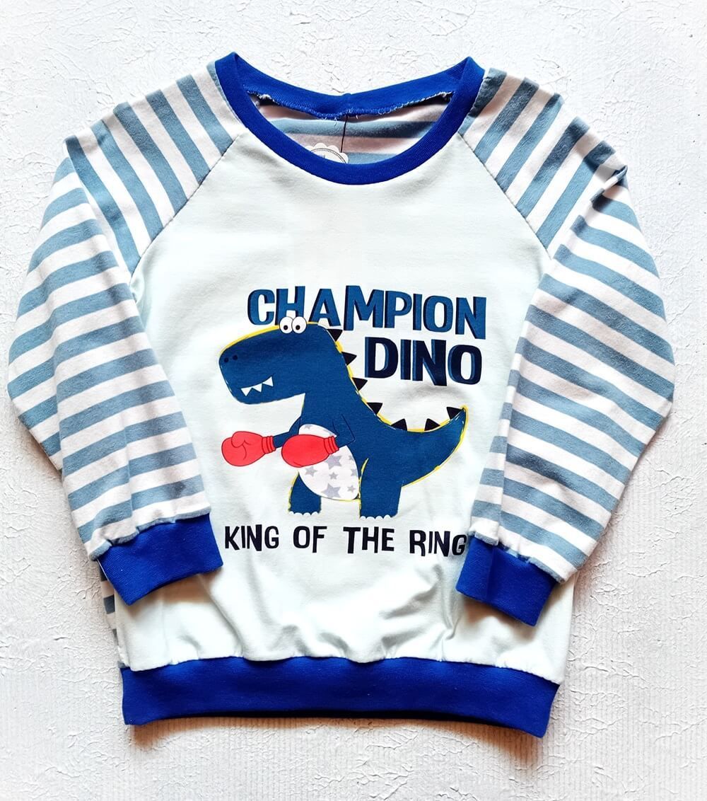 Jungen Pullover DINOCHAMPION in Gr. 104