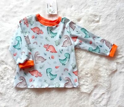 Jungen Pullover DINOLEBEN in Gr. 86