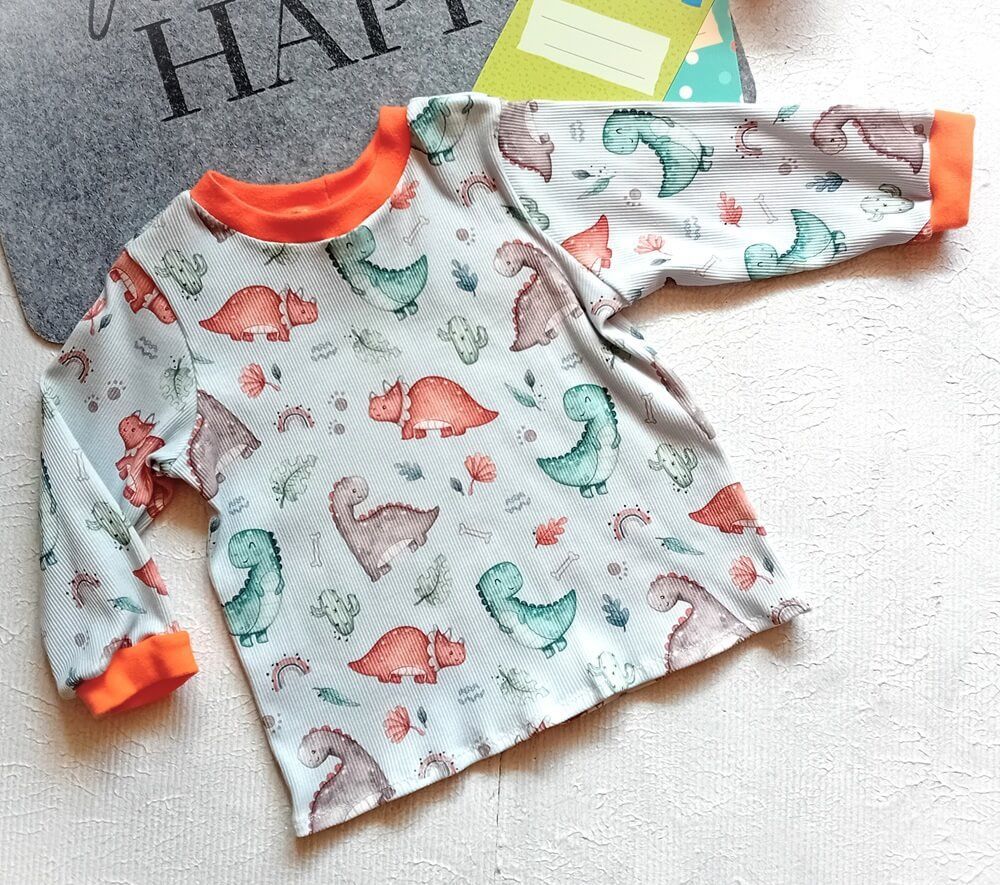 Jungen Pullover DINOLEBEN in Gr. 86