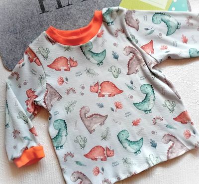 Jungen Pullover DINOLEBEN in Gr. 86