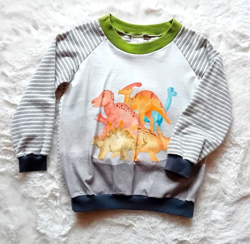 Jungen Pullover DINOSAURIER in Gr. 110