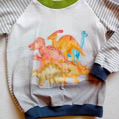 Jungen Pullover DINOSAURIER in Gr. 110