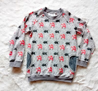 Jungen Pullover FUCHS & DACHS in Gr. 128