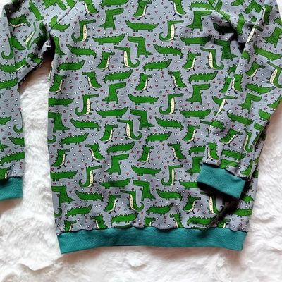Kapuzenpullover Jungen KROKODILE in Gr. 128
