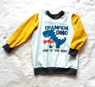 Jungen Pullover DINO CHAMPION in Gr. 98