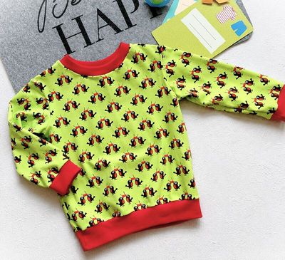 Baby Pullover MAULWURF-PIEPMATZ in Gr. 74 Baby Pullover MAULWURF-PIEPMATZ in Gr. 74