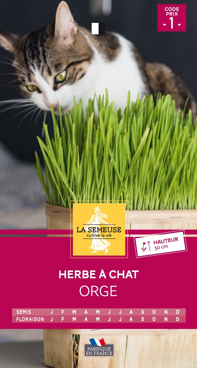 HERBE A CHAT